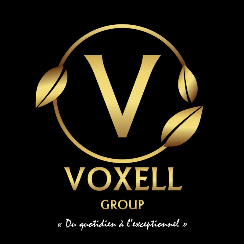 Voxell Group